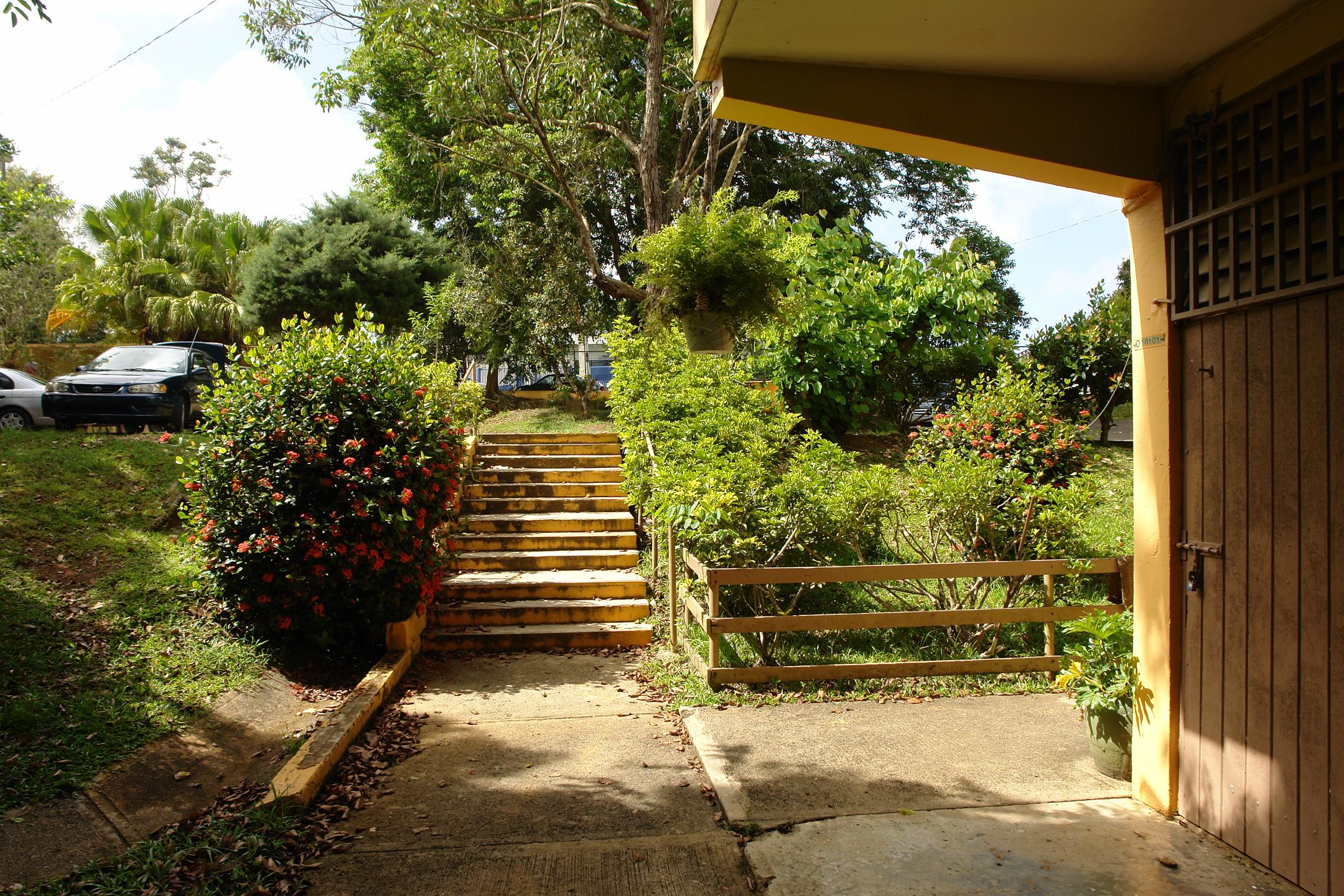 FDII - Aibonito - 2010 00014